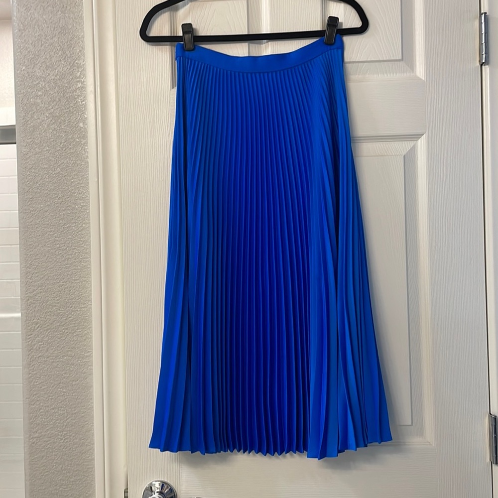 Club Monaco Pleated Skirt